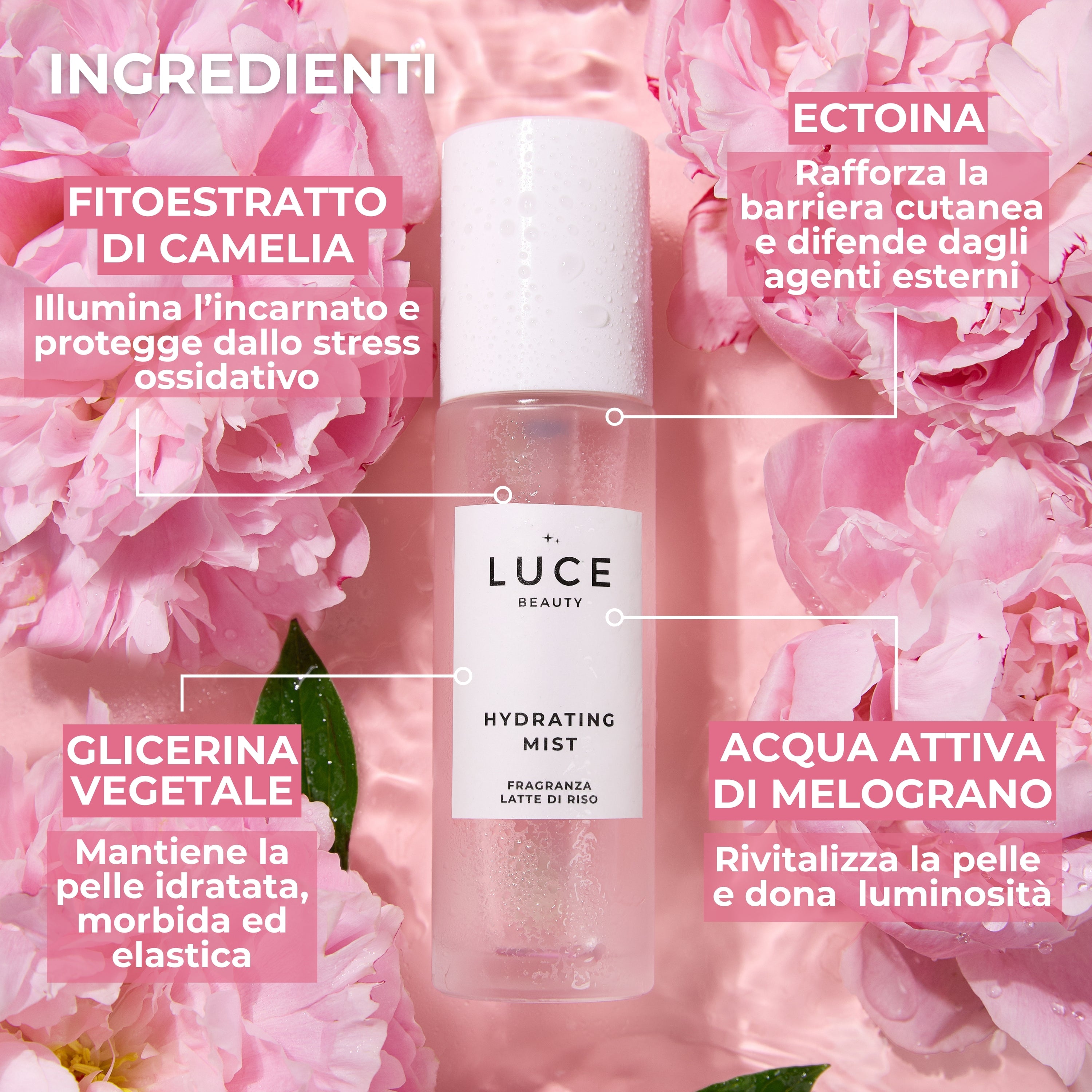 Hydrating Mist (50ml)