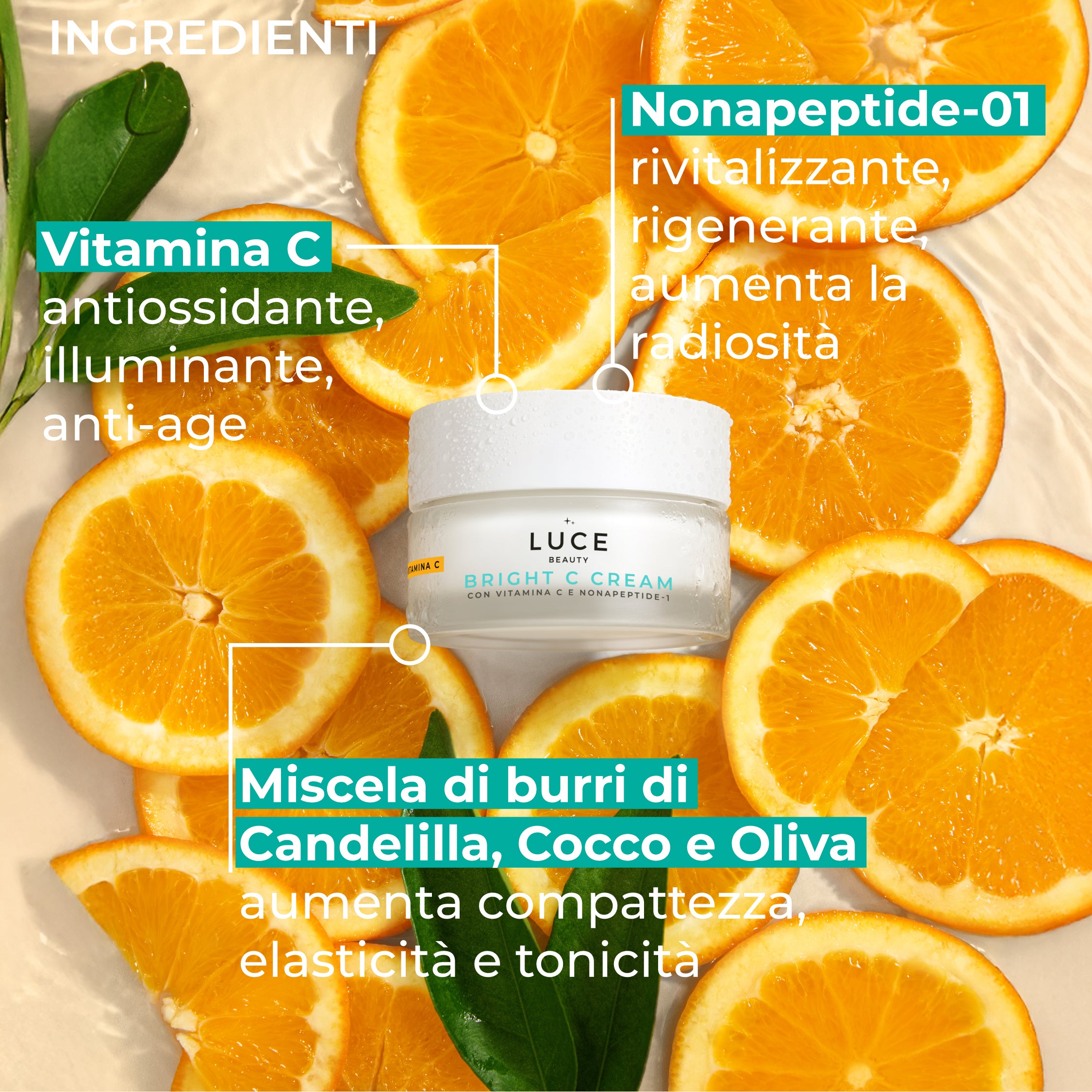 Descrizione degli ingredienti di Bright C Cream - Vitamina C, Nonapeptide01, Miscela di burri di candelilla, cocco e oliva - Luce Beauty