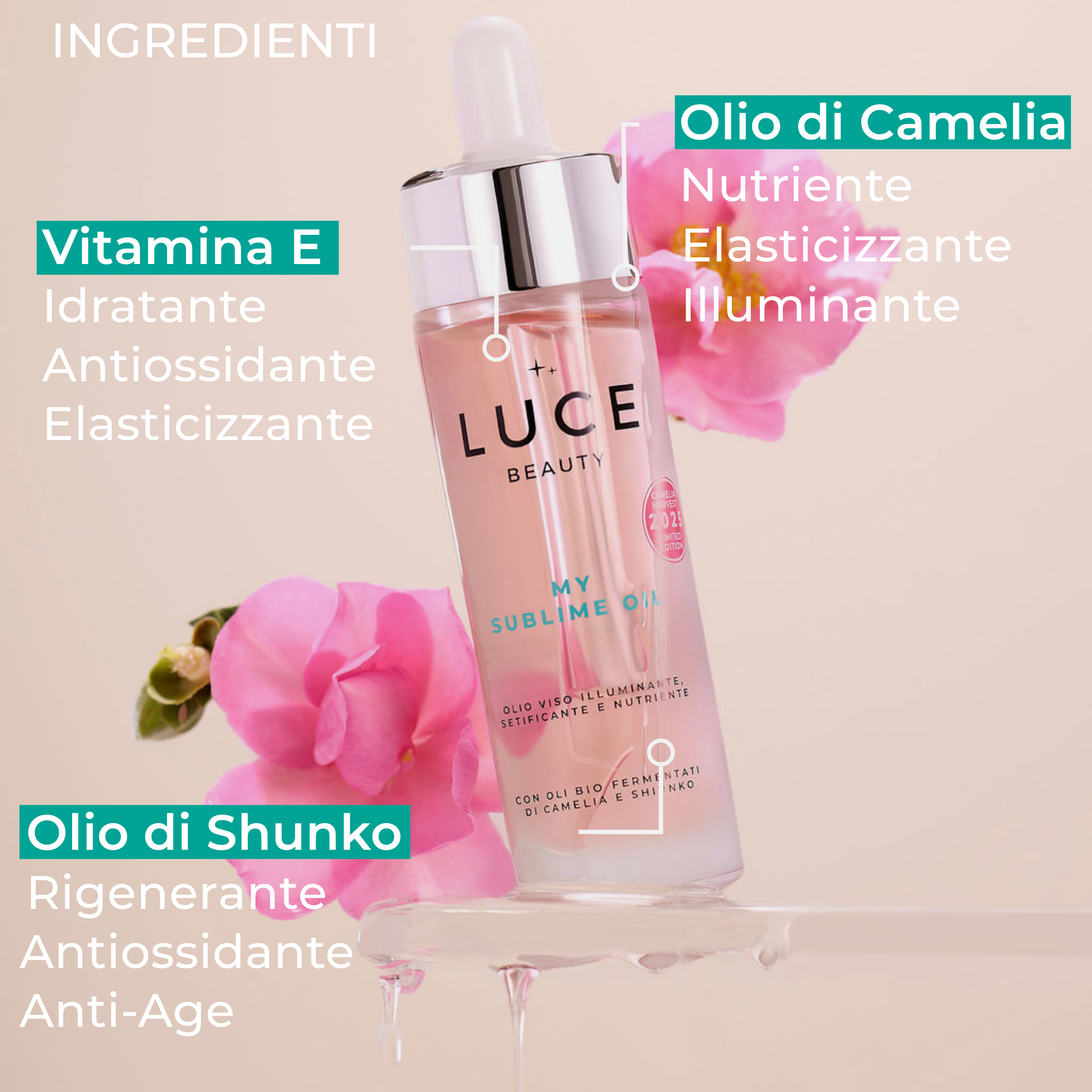 Ingredienti_My Sublime OIl_Camelie_Olio di Shiunko_Luce Beauty By Alessia Marcuzzi