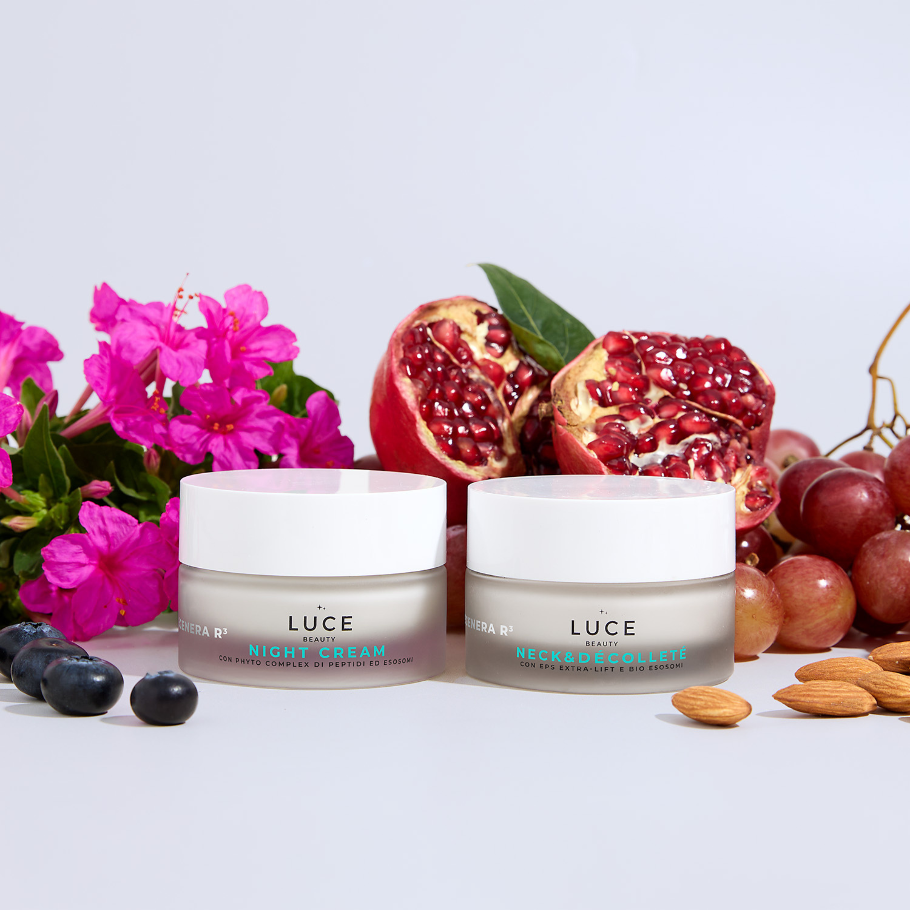 Night + Neck & Décolléte Cream