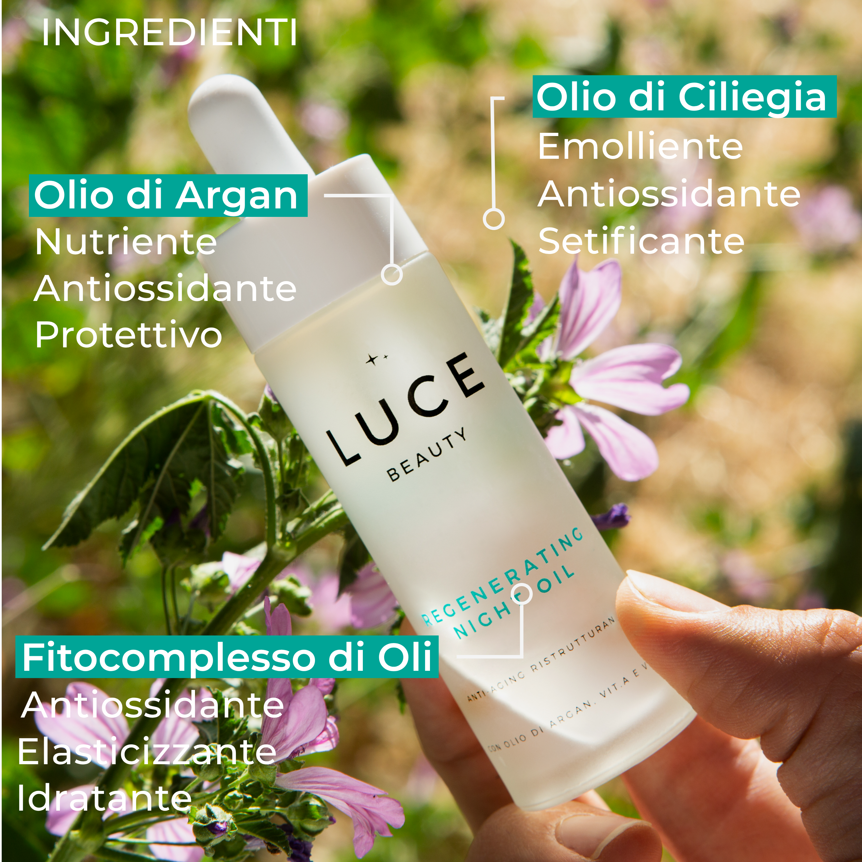 Regenerating Night Oil _ Olio viso notte ingredienti_Luce Beauty By Alessia Marcuzzi