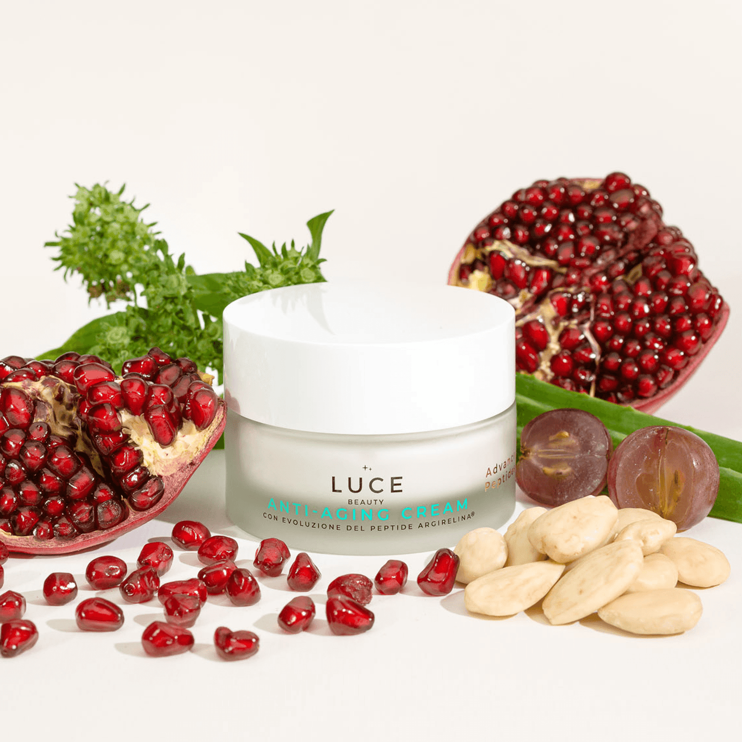 Anti_aging_cream-Crema_anti_age_Argirelina amplificata -ingredienti- Luce Beauty By Alessia Marcuzzi