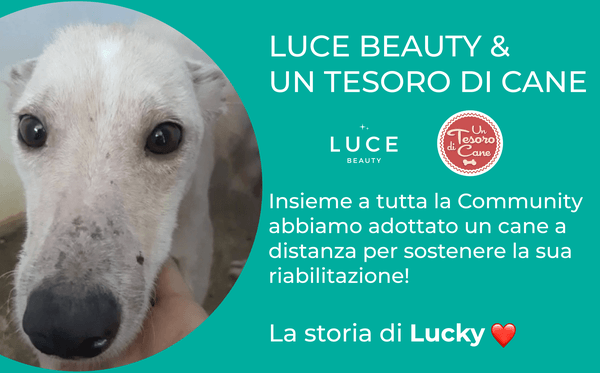 Ti presento Lucky, il cane adottato dalla nostra Community
