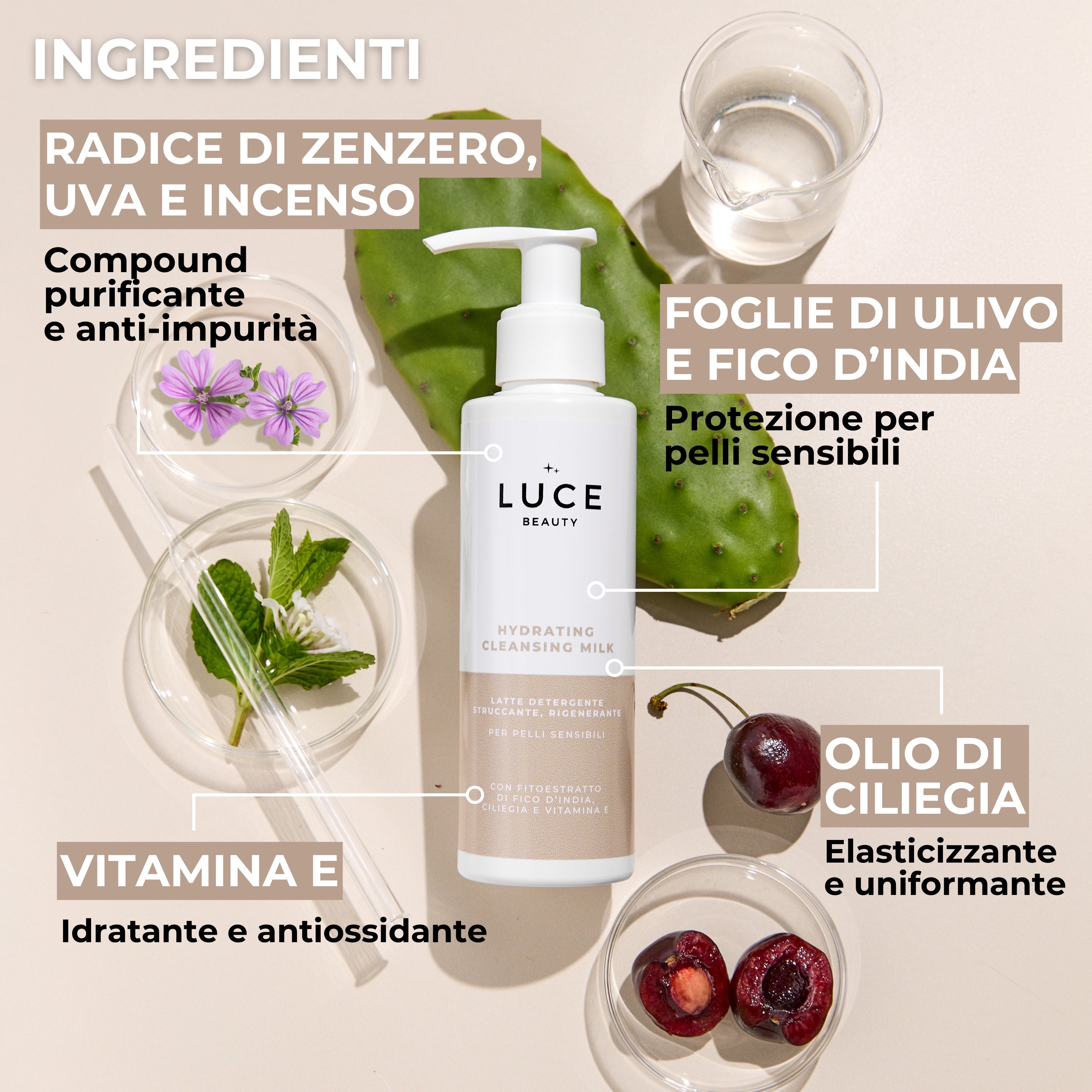 Hydrating Cleansing Milk