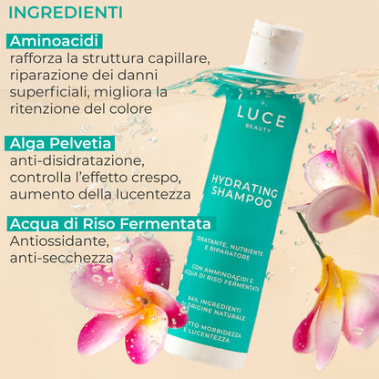 Hair Care Routine
