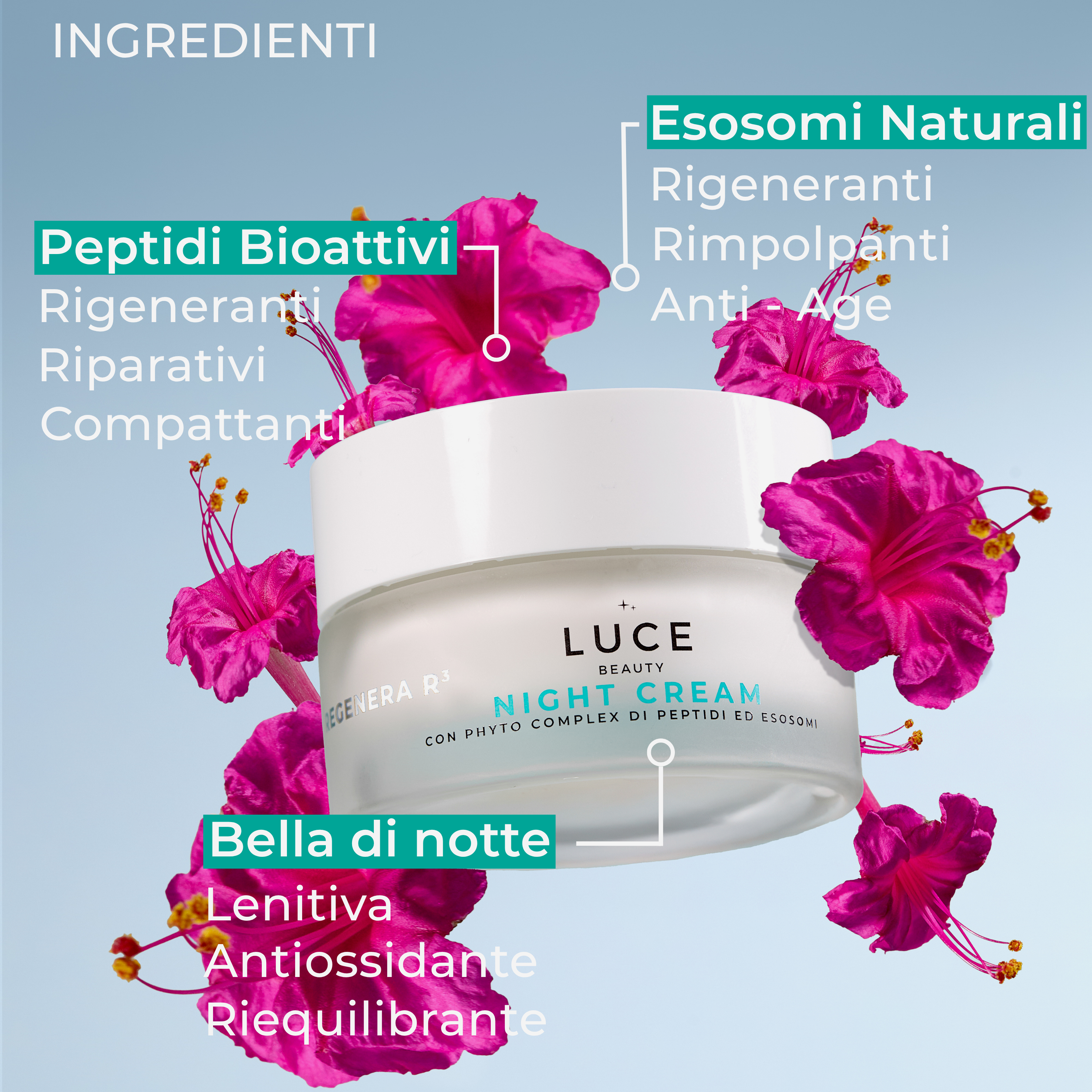 Night Cream_Crema notte anti age_ingredienti_ Luce Beauty By Alessia Marcuzzi