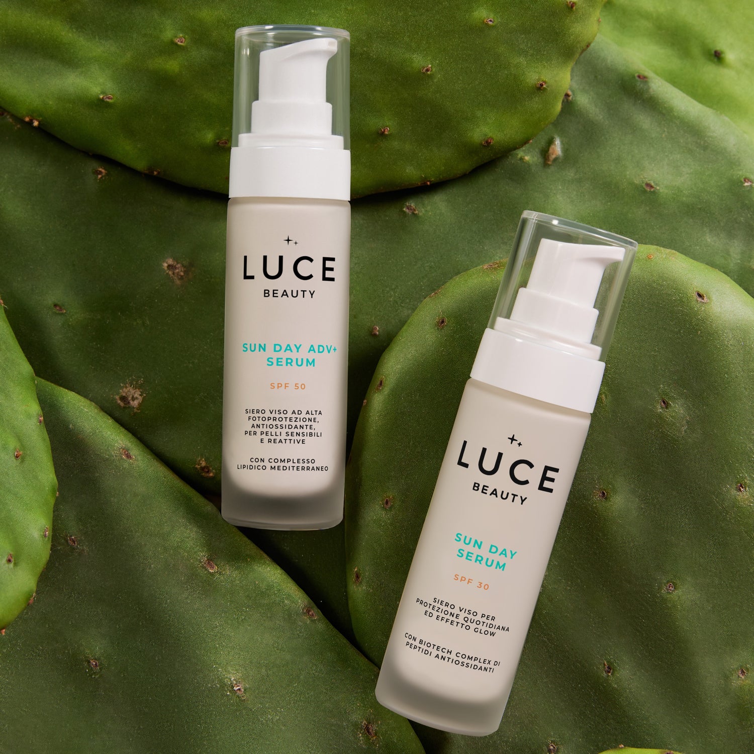 Routine SPF