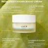 Hydra Boost Cream - Ingredienti - zuccheri, acido ialuronico, pale di fico - made in italy - Luce Beauty by Alessia marcuzzi 