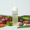 Regenerating Night Oil - Ingredienti - Luce Beauty by Alessia Marcuzzi